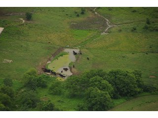 Property photo 112 - 681 Acres in 12 Tracts