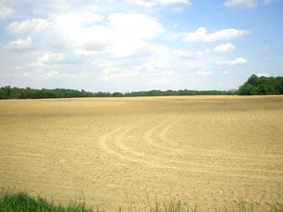 Property photo 9 - 681 Acres in 12 Tracts