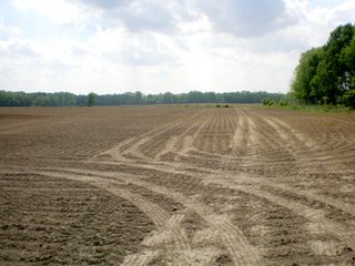 Property photo 22 - 681 Acres in 12 Tracts