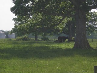 Property photo 43 - 681 Acres in 12 Tracts