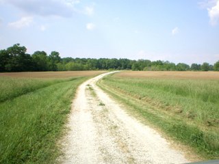 Property photo 15 - 681 Acres in 12 Tracts