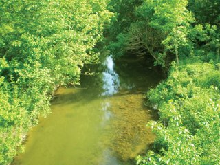 Property photo 50 - 681 Acres in 12 Tracts