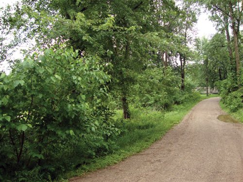 Tract 6 - Absolute Auction - Potential Investment Properties