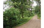 Tract 6 - Absolute Auction - Potential Investment Properties