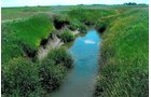 Property photo 2 - 160+/- Acres Offered in 2 Tracts