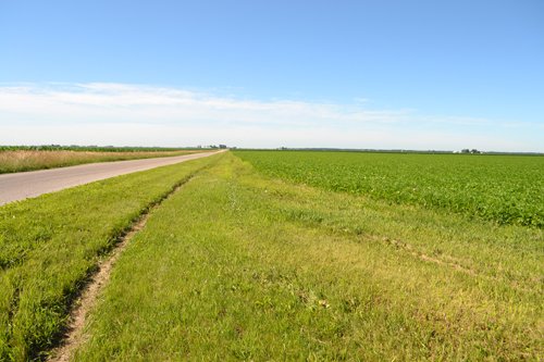 Property photo 2 - 143+/- Acres Offered in 4 Tracts