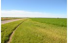 Property photo 2 - 143+/- Acres Offered in 4 Tracts