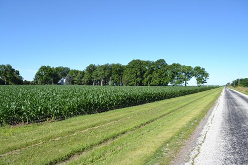 Property photo 1 - 143+/- Acres Offered in 4 Tracts