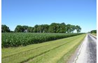 Property photo 1 - 143+/- Acres Offered in 4 Tracts