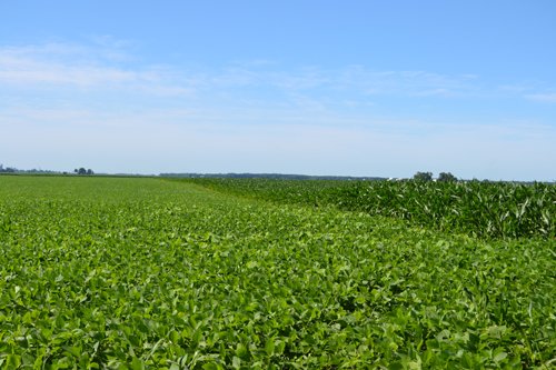 Property photo 7 - 143+/- Acres Offered in 4 Tracts