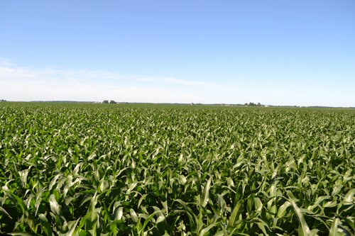 Property photo 8 - 143+/- Acres Offered in 4 Tracts