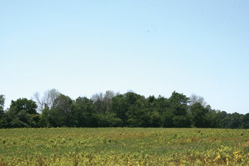 Property photo 2 - 37 Acres Offered in 6 Tracts