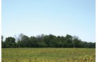 Property photo 2 - 37 Acres Offered in 6 Tracts