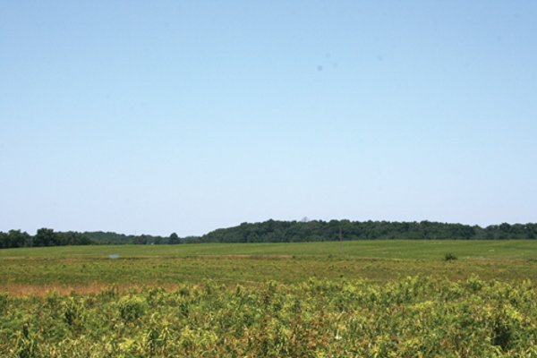 37 Acres Offered in 6 Tracts