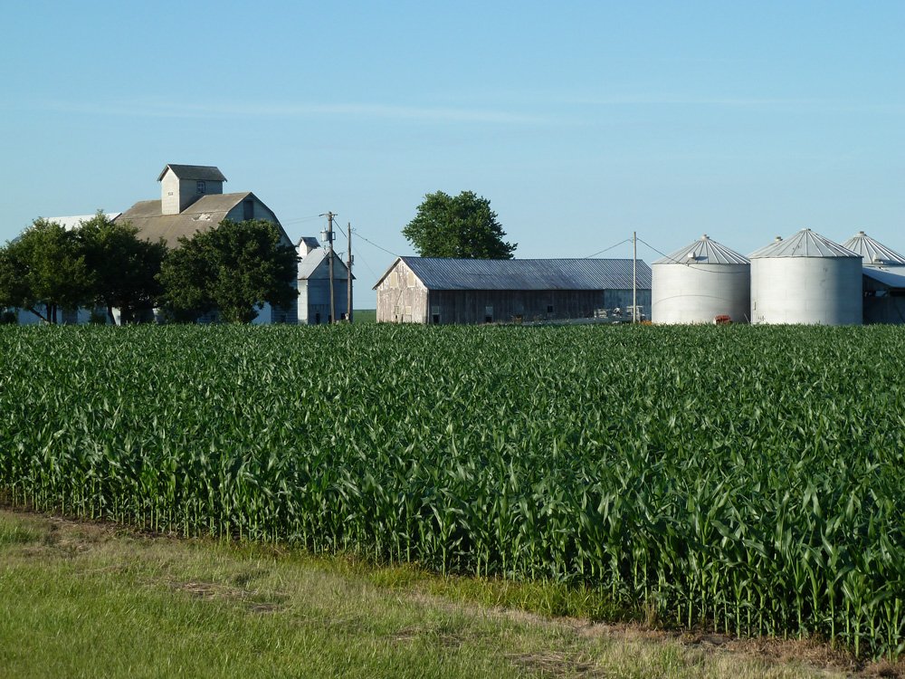 Property photo 2 - Land Auction - 565 Acres of Mostly Tillable Farmland with Productive Soils and Excellent Location