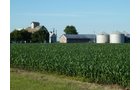 Property photo 2 - Land Auction - 565 Acres of Mostly Tillable Farmland with Productive Soils and Excellent Location