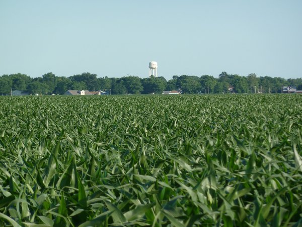 Land Auction - 565 Acres of Mostly Tillable Farmland with Productive Soils and Excellent Location