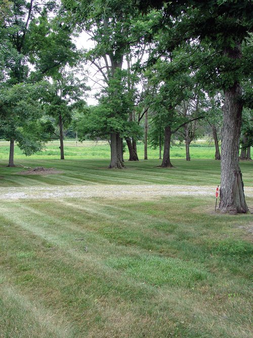 Property photo 8 - 40 Acres Offered in 3 Tracts