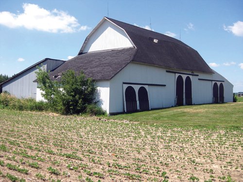 Property photo 3 - 118 Acres Offered in 5 Tracts