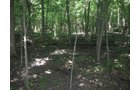 Property photo 2 - 118 Acres Offered in 5 Tracts