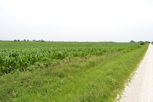 Property photo 1 - Indiana Land Auction - 386 Acres Offered in 13 Tracts