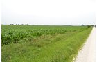Property photo 1 - Indiana Land Auction - 386 Acres Offered in 13 Tracts