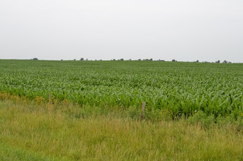 Property photo 7 - Indiana Land Auction - 386 Acres Offered in 13 Tracts