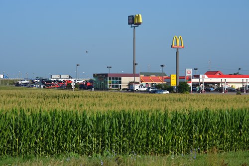 Property photo 6 - MAJOR ILLINOIS LAND AUCTION - 2,040 Acres Offered in 30 Tracts