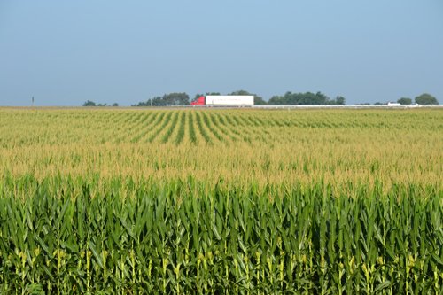 Property photo 17 - MAJOR ILLINOIS LAND AUCTION - 2,040 Acres Offered in 30 Tracts