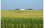 Property photo 17 - MAJOR ILLINOIS LAND AUCTION - 2,040 Acres Offered in 30 Tracts
