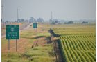 Property photo 9 - MAJOR ILLINOIS LAND AUCTION - 2,040 Acres Offered in 30 Tracts