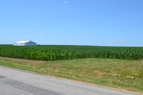 Property photo 1 - MAJOR ILLINOIS LAND AUCTION - 2,040 Acres Offered in 30 Tracts