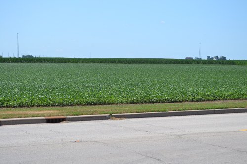 Property photo 15 - MAJOR ILLINOIS LAND AUCTION - 2,040 Acres Offered in 30 Tracts