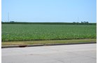 Property photo 15 - MAJOR ILLINOIS LAND AUCTION - 2,040 Acres Offered in 30 Tracts