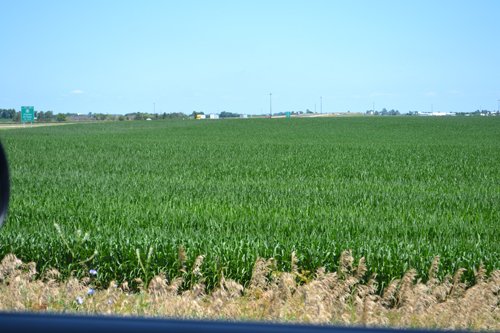 Property photo 19 - MAJOR ILLINOIS LAND AUCTION - 2,040 Acres Offered in 30 Tracts