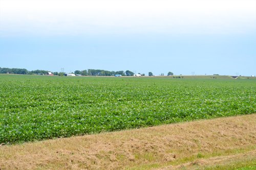 Property photo 11 - MAJOR ILLINOIS LAND AUCTION - 2,040 Acres Offered in 30 Tracts