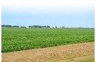 Property photo 11 - MAJOR ILLINOIS LAND AUCTION - 2,040 Acres Offered in 30 Tracts