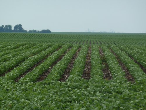 Property photo 4 - MAJOR ILLINOIS LAND AUCTION - 2,040 Acres Offered in 30 Tracts