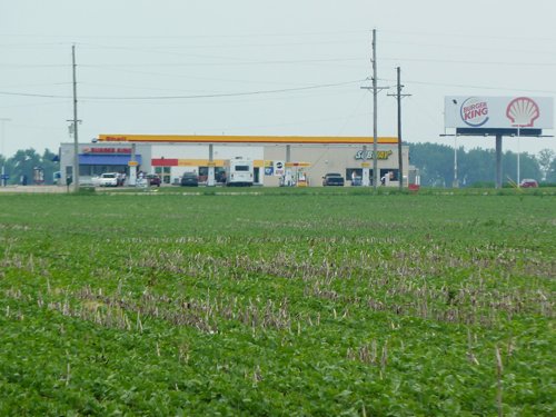 Property photo 14 - MAJOR ILLINOIS LAND AUCTION - 2,040 Acres Offered in 30 Tracts