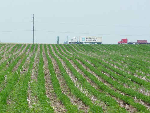 Property photo 3 - MAJOR ILLINOIS LAND AUCTION - 2,040 Acres Offered in 30 Tracts