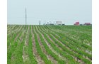 Property photo 3 - MAJOR ILLINOIS LAND AUCTION - 2,040 Acres Offered in 30 Tracts