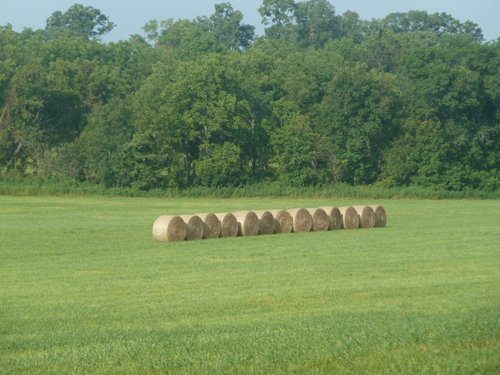 Property photo 7 - 480+/- Acres Offered in 6 Tracts