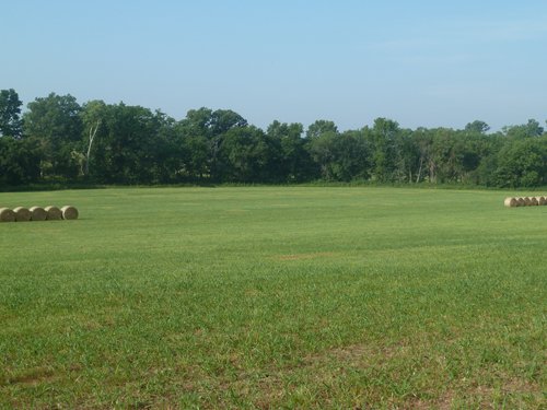 Property photo 3 - 480+/- Acres Offered in 6 Tracts