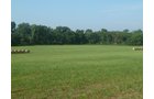 Property photo 3 - 480+/- Acres Offered in 6 Tracts