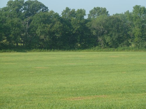 Property photo 8 - 480+/- Acres Offered in 6 Tracts