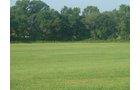 Property photo 8 - 480+/- Acres Offered in 6 Tracts