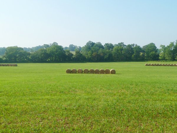 480+/- Acres Offered in 6 Tracts
