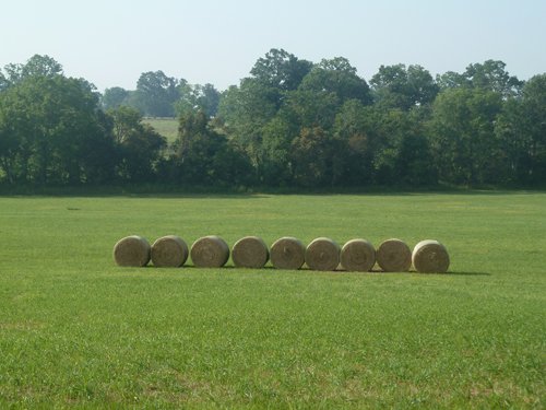 Property photo 4 - 480+/- Acres Offered in 6 Tracts