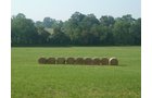 Property photo 4 - 480+/- Acres Offered in 6 Tracts