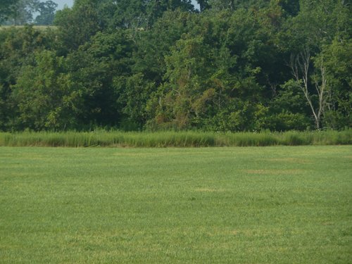 Property photo 10 - 480+/- Acres Offered in 6 Tracts